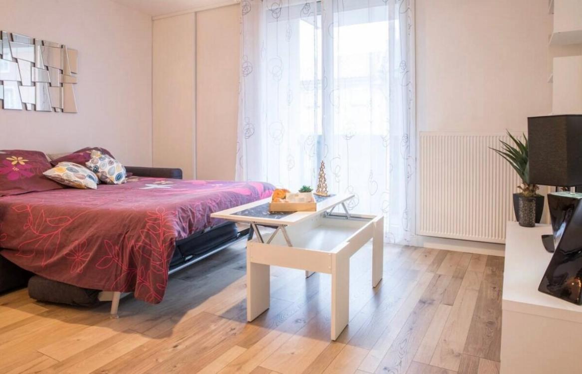 Charmant Appartement T1 Mâcon Dış mekan fotoğraf