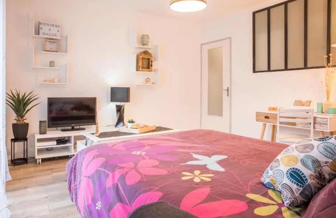 Charmant Appartement T1 Mâcon Dış mekan fotoğraf